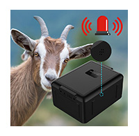 RF-V55 CAT1