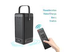 W-300
