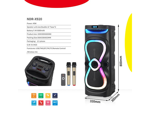 NDR-X920 (double 10inch）